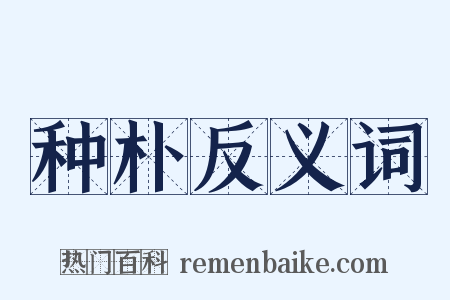 种朴反义词是什么意思的图片